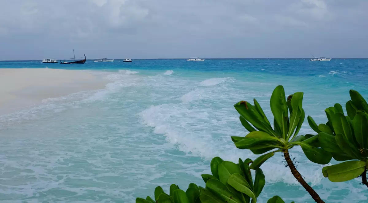 Ce sunt offshore-urile