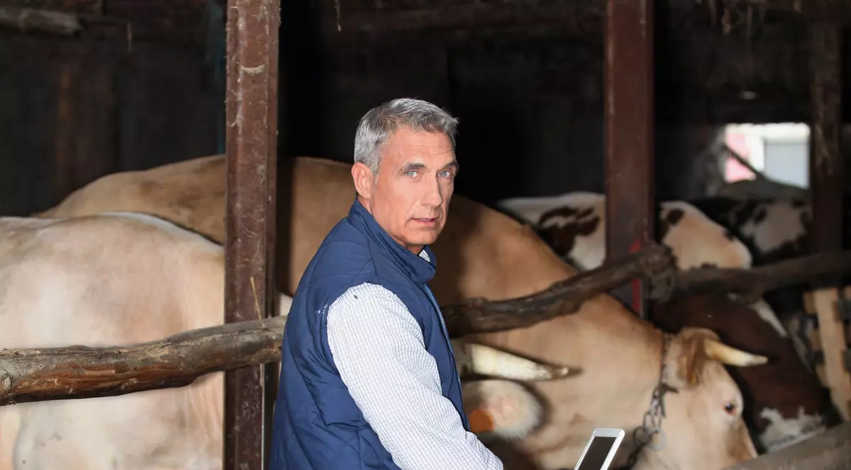 plata subvențiilor pentru animale