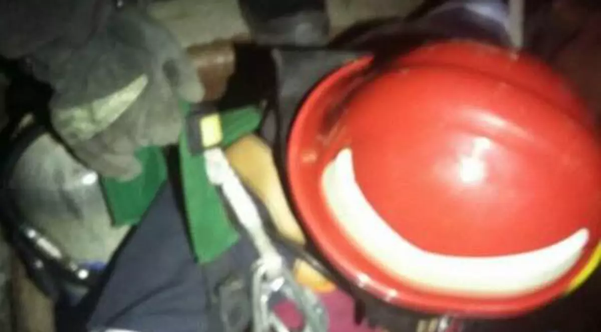 FOTO/ Un pompier din Tulcea şi-a riscat viaţa pentru a salva un câine