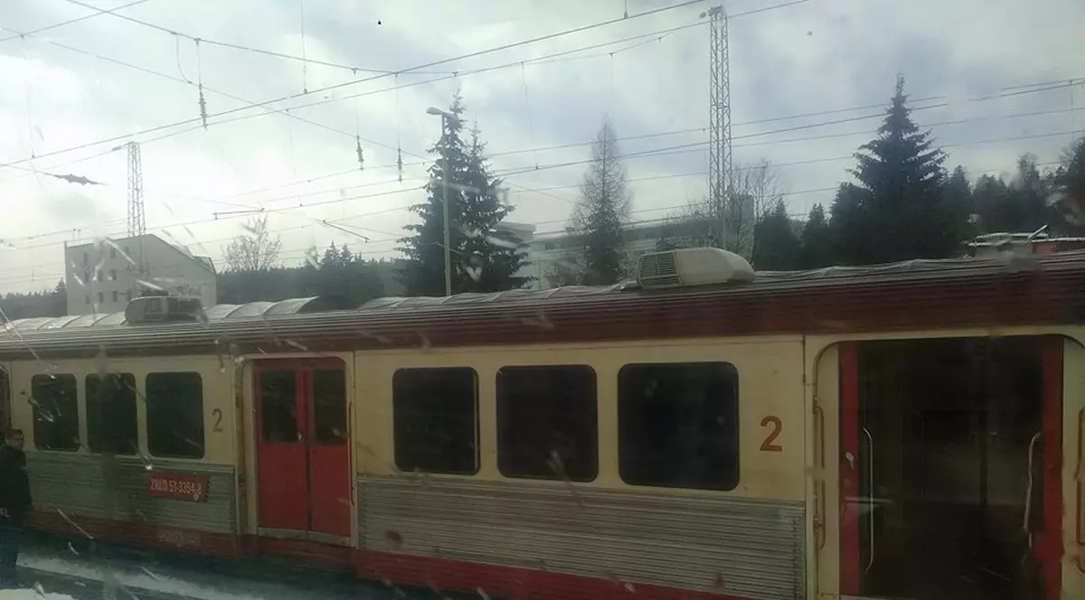 UPDATE: Traficul feroviar în Braşov a fost reluat. Copacul, îndepărtat de pe șine