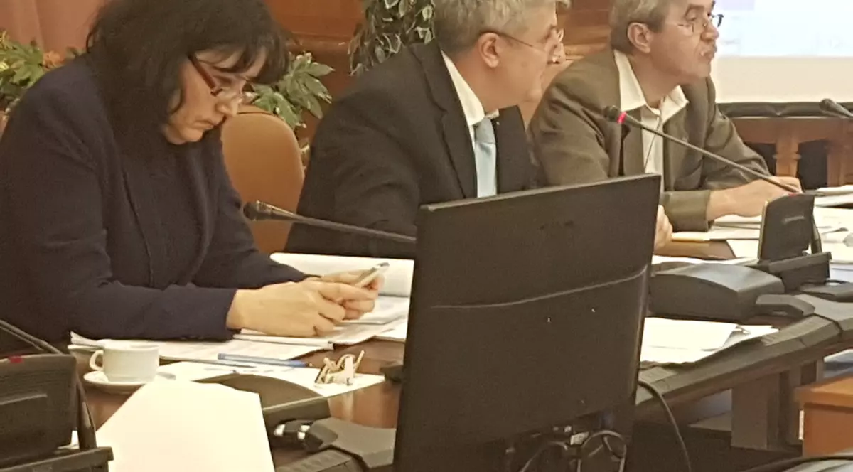 Comisia Iordache a decis să lucreze și în timpul doliului național