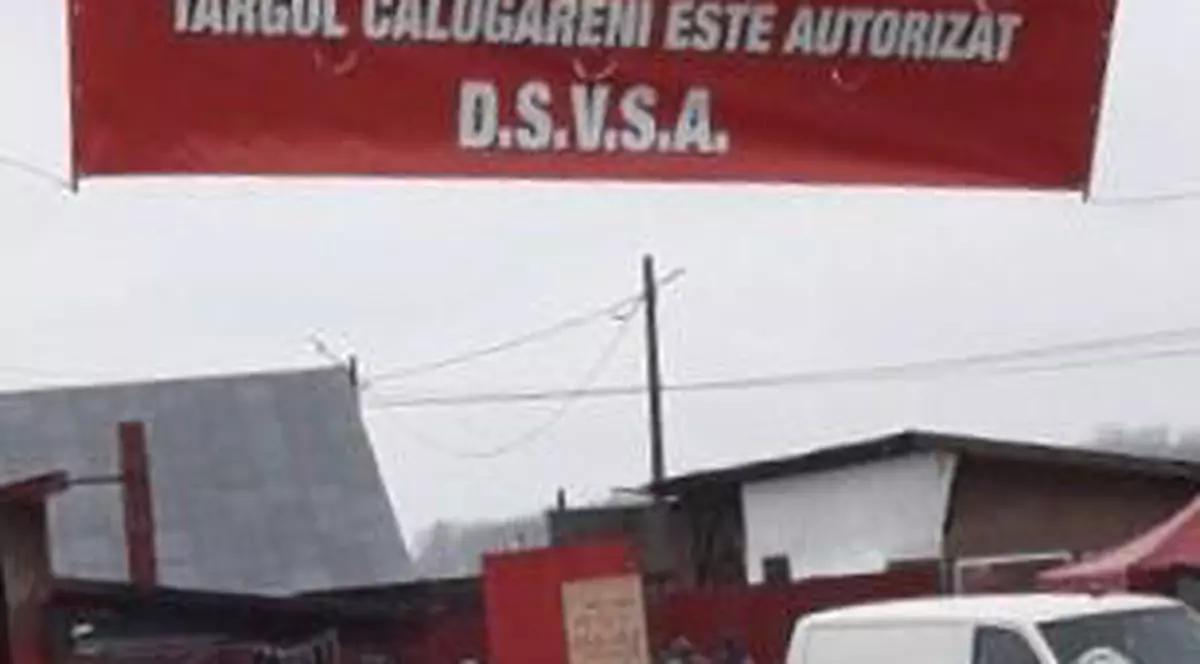 De duminică, târgul de la Călugăreni a fost autorizat. Locul din Giurgiu în care mai în glumă, mai în serios Alexandru Ioan Cuza venea să-și ia ceafă de porc poate fi acum folosit de comercianți, iar clienții pot fi siguri că marfa nu-i va trimite pe patul de spital.
