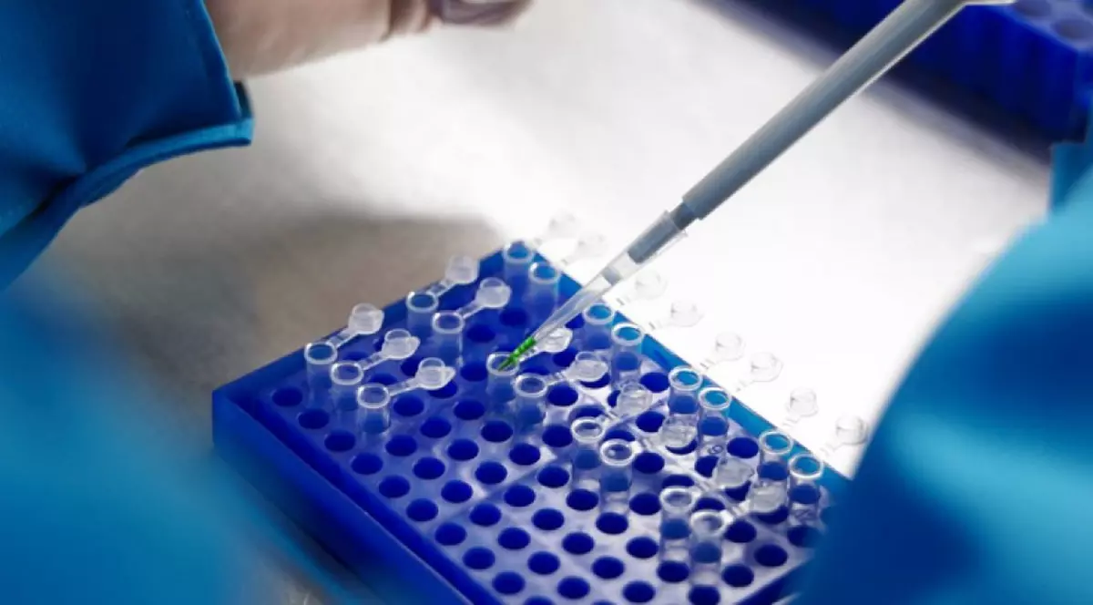 compus care blochează răspândirea cancerului pancreatic