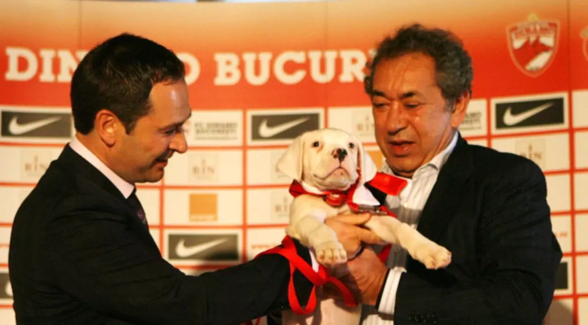 Nicolae Badea s-ar putea întoarce la Dinamo