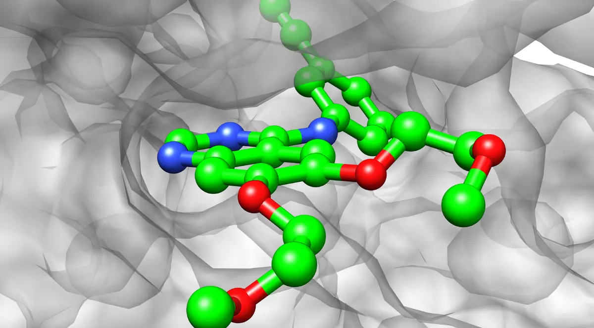 Consiliul Concurenței a efectuat inspecții inopinate la sediul Roche România și a anunțat că investighează gigantul farma pentru un posibil abuz de poziție dominantă pe piața medicamentelor pentru cancer. Moleculă Tarceva