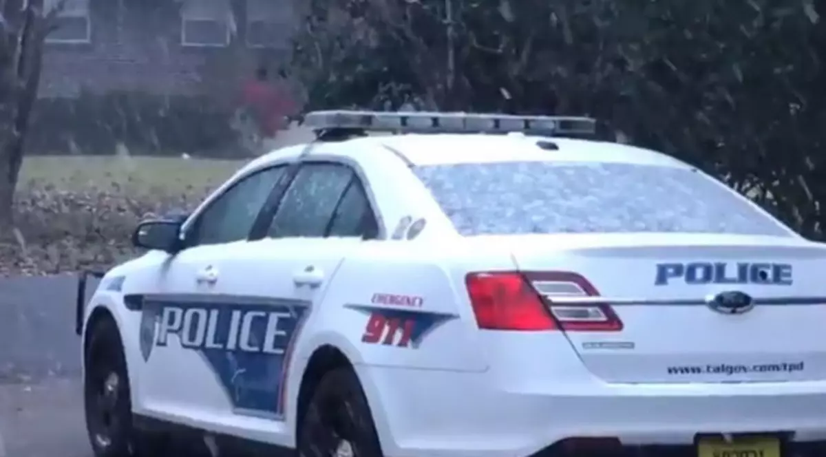 VIDEO | Val de frig în estul SUA: A nins în Florida, pentru prima oară în trei decenii