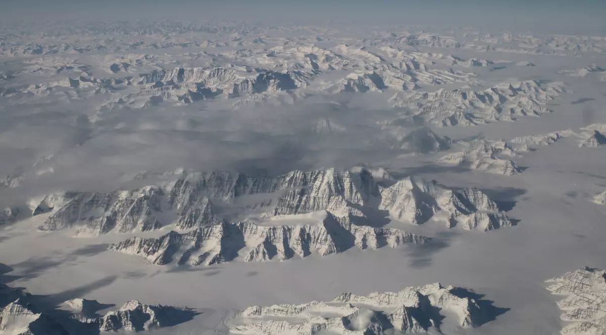 Antarctica a fost acoperită de o pădure în urmă cu 280 milioane de ani