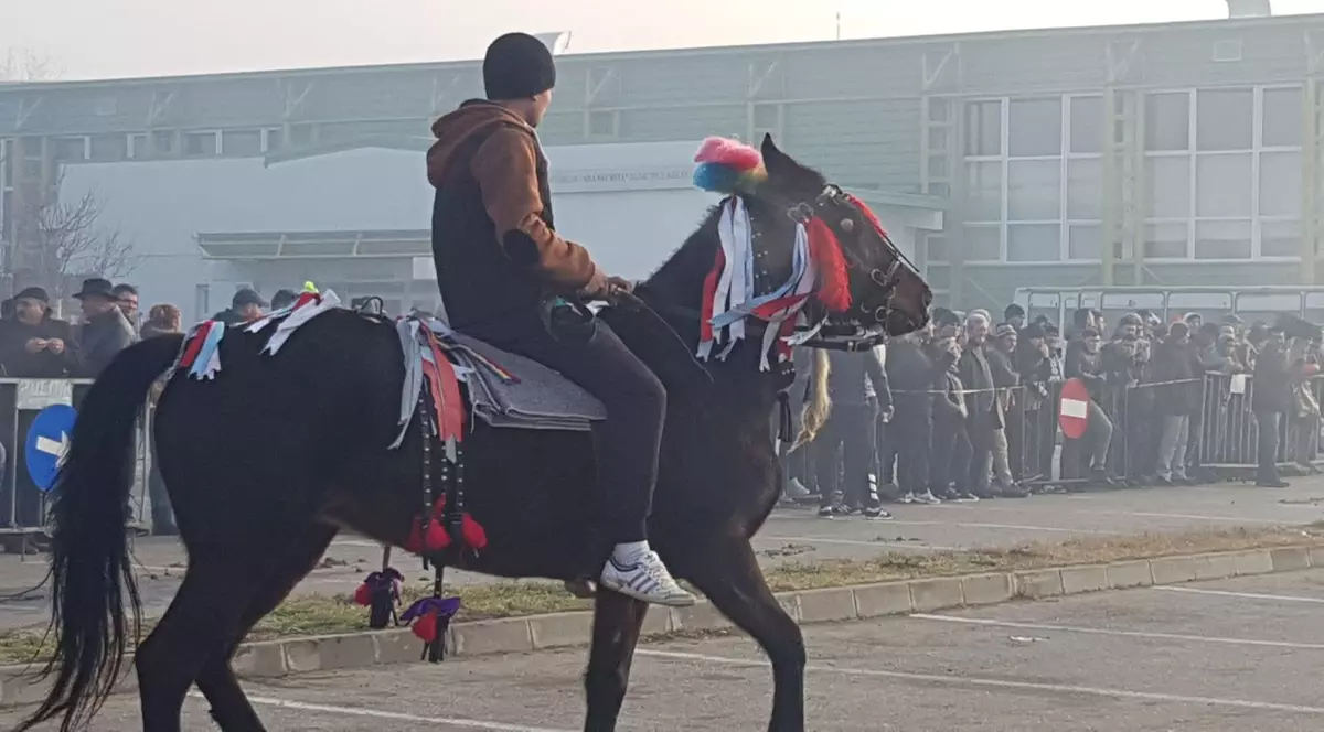 De Bobotează, caii din orașul lui Nea Mărin au fost stropiți cu agheasmă ca să nu se prindă blestemele de ei