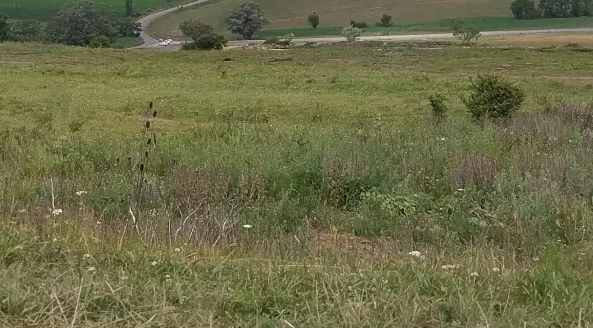 Preotul din Cincu a obținut ilegal bani europeni mințind că deține un teren care aparține poligonului militar