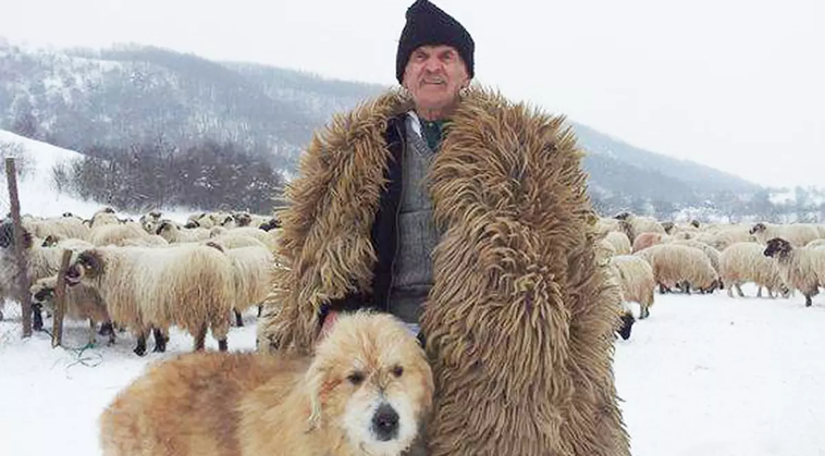 ciobanul legendă vie