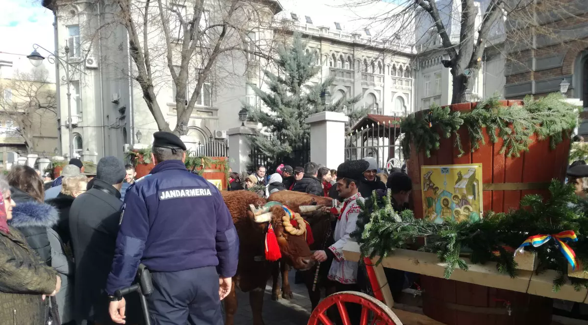 Peste 10.000 de oameni s-au călcat în picioare pentru agheasmă, la Constanța. În loc de gerul Bobotezei, o vreme de primăvară