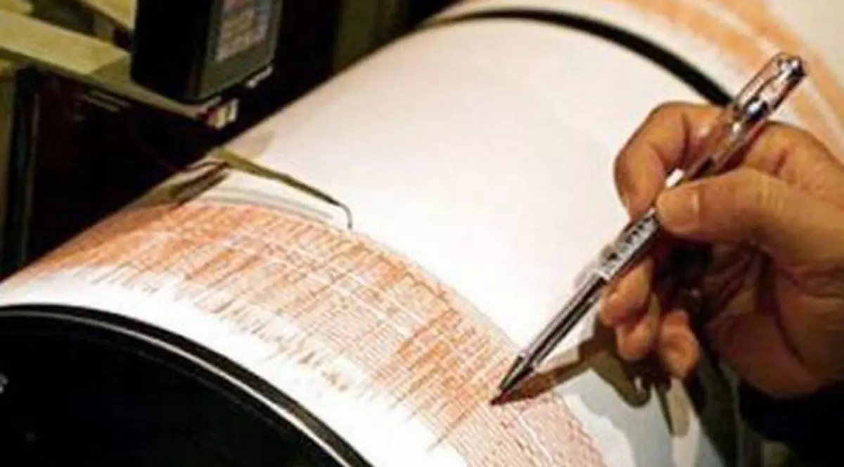 Cutremur în județul Buzău, pe 4 februarie