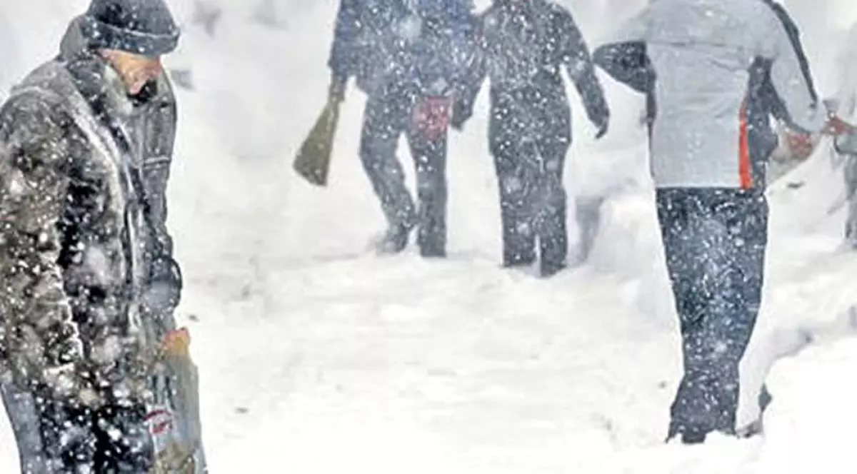 Cod portocaliu de ninsori și viscol, pentru 28 februarie