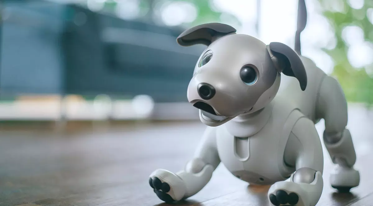 Pană de curent la cel mai mare tâg de electronice. Vizitatorii s-au grăbit să salveze cățelușii robotici Sony AIBO