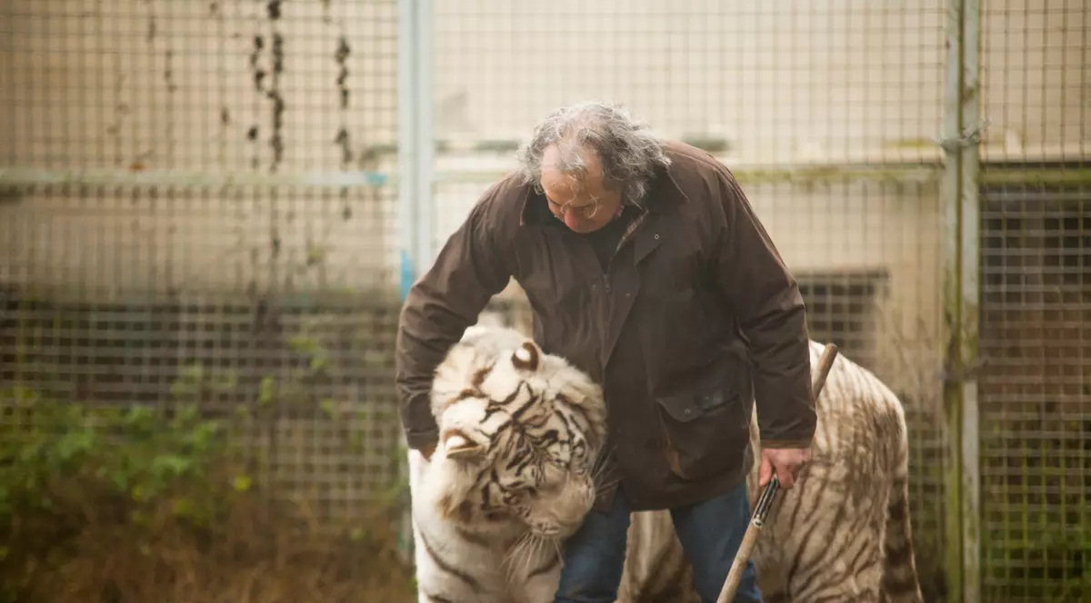 Curajul unui francez de 68 de ani: locuiește cu cinci tigri și doi lei