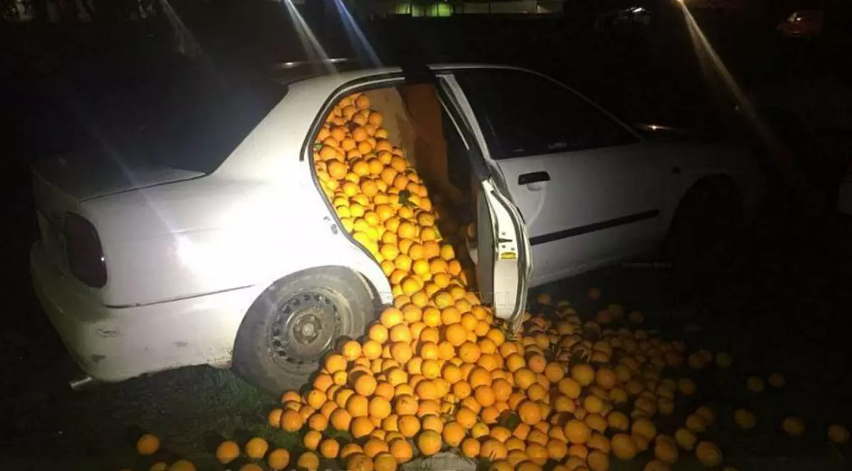 Tone de portocale furate cu mașina, în Sevilia