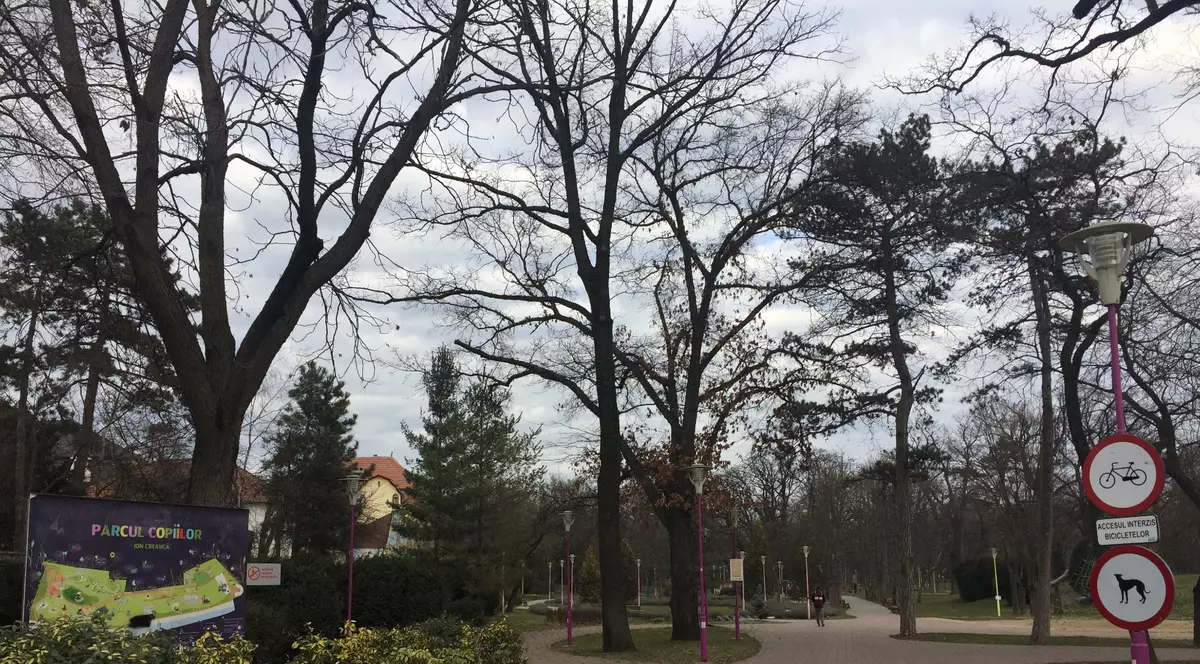 Vor alerga o zi întreagă. Campionat european de 24 de ore de alergare, la Timișoara
