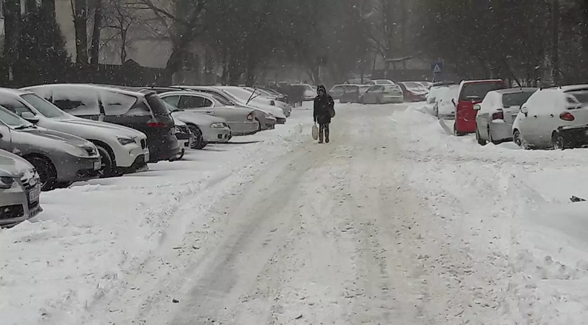 FOTO/ Vremea în București. Toate școlile sunt închise. Legăturile cu Constanța și Giurgiu, blocate