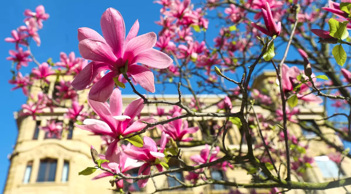 Prognoza meteo pentru perioada 26 martie-8 aprilie. Cum va fi vremea în următoarele două săptămâni