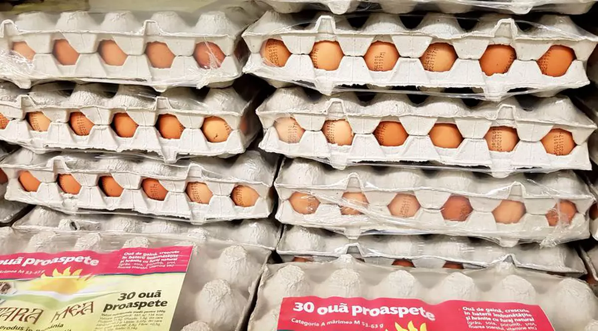 Consiliul Concurenței suspectează că un cartel este în spatele scumpirii ouălor. Cartoane de ouă
