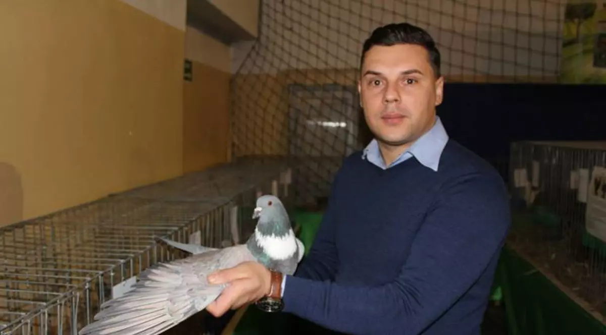 Un subofițer MapN crește o rasă unică de porumbei în România
