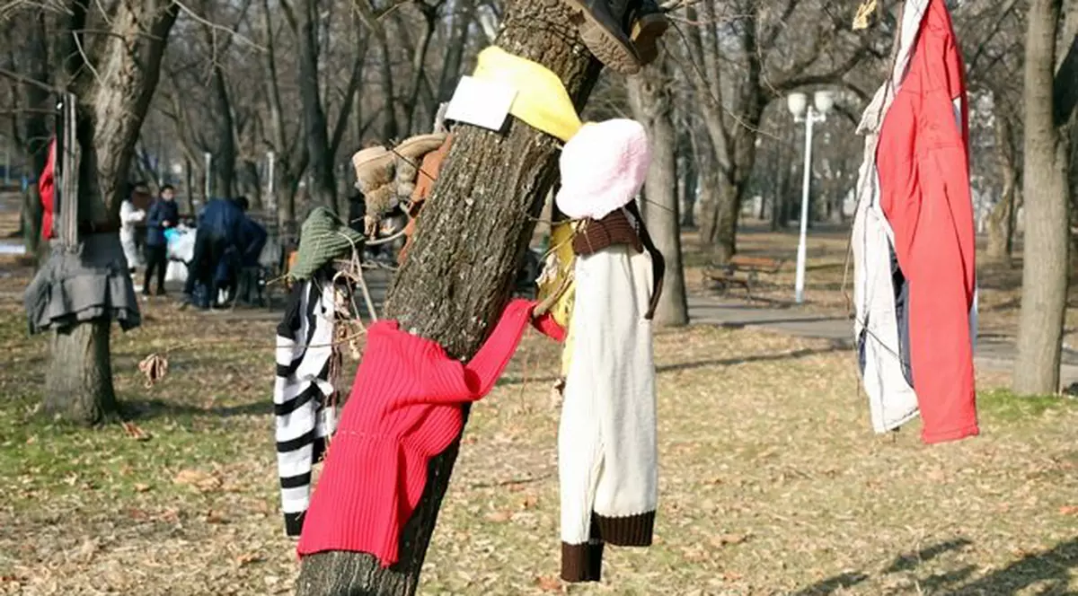 „Copacul cu haine”, în Parcul Rozelor din Timișoara. Jucării, haine, încălțăminte și rechizite, pentru nevoiași