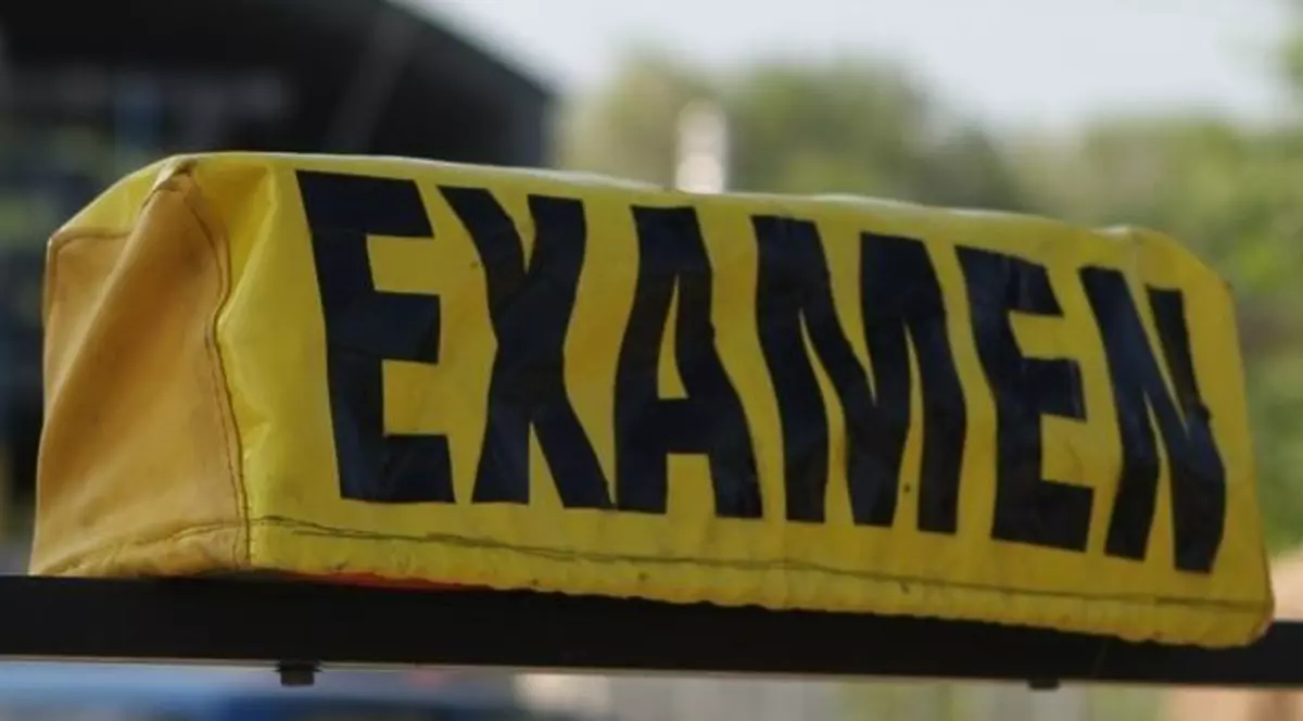 a picat examenul auto din cauza unor porumbei