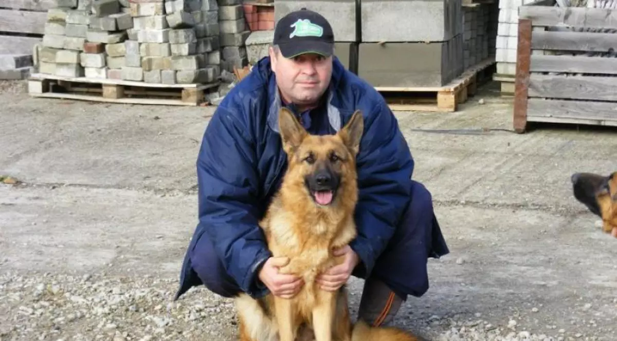 Medicul veterinar care tratează gratis câinii abandonați pe stradă în Bistrița