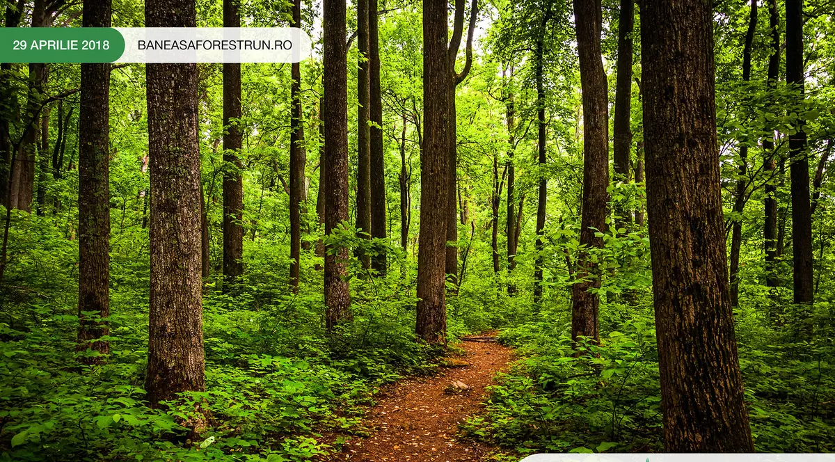 Baneasa Forest Run, din 29 aprilie, alergarea in padurea Baneasa nu va mai fi la fel!