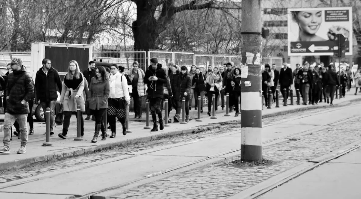 DECLARAȚIA #salvatipipera | Libertatea lansează o campanie pentru salvarea cartierului de afaceri al Capitalei