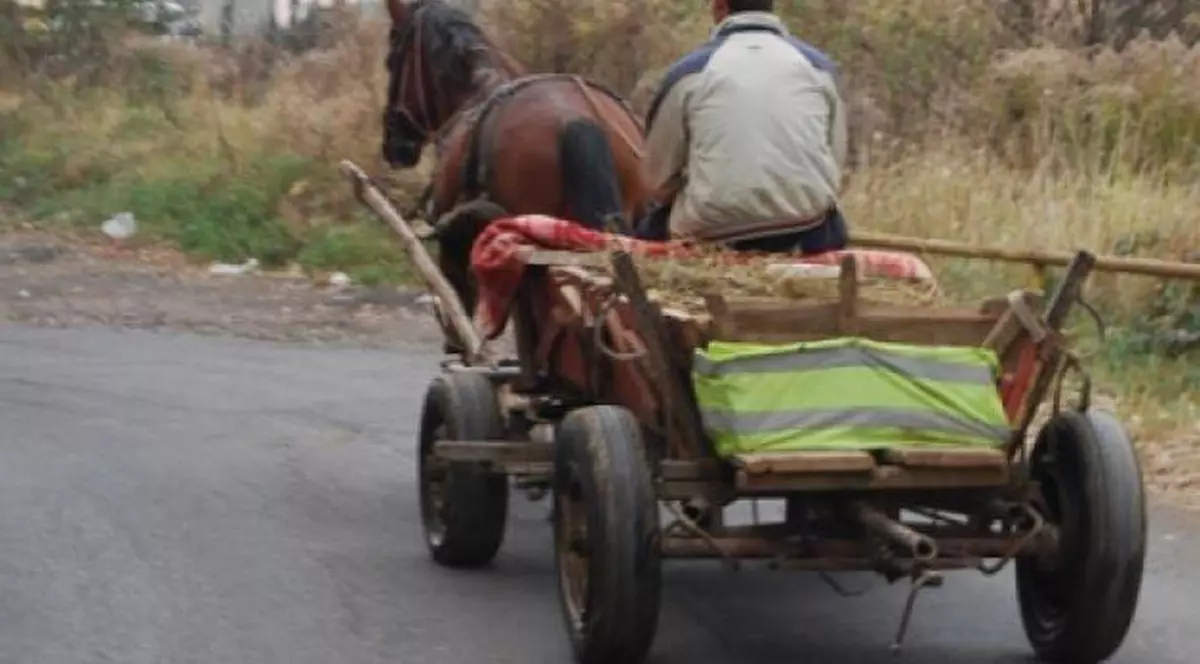 Fetița de doi ani dispărută în județul Satu Mare a fost găsită