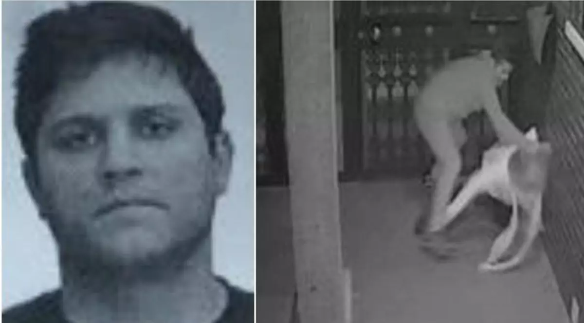 O bătrână din Spania a fost bătută cu sălbăticie de un român