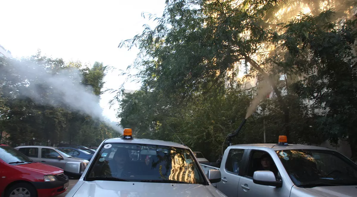 Primăria Capitalei începe, de mâine, tratamentul împotriva țânțarilor