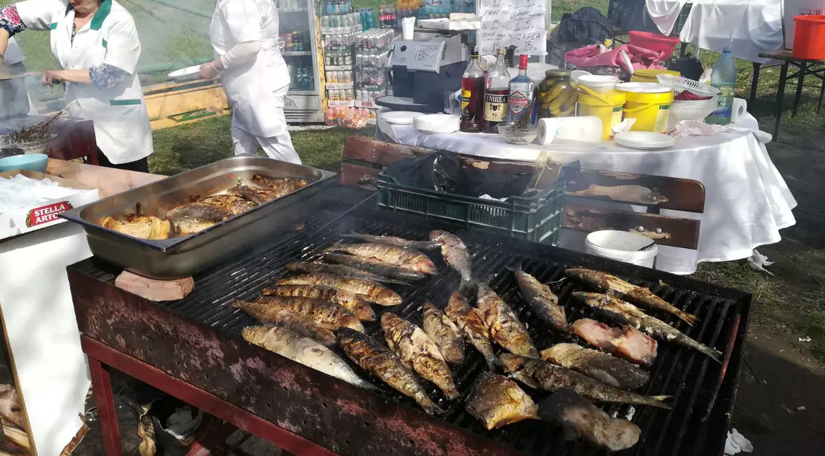 Mii de oameni au venit la Festivalul Dunării din Galați, pe faleza inundată