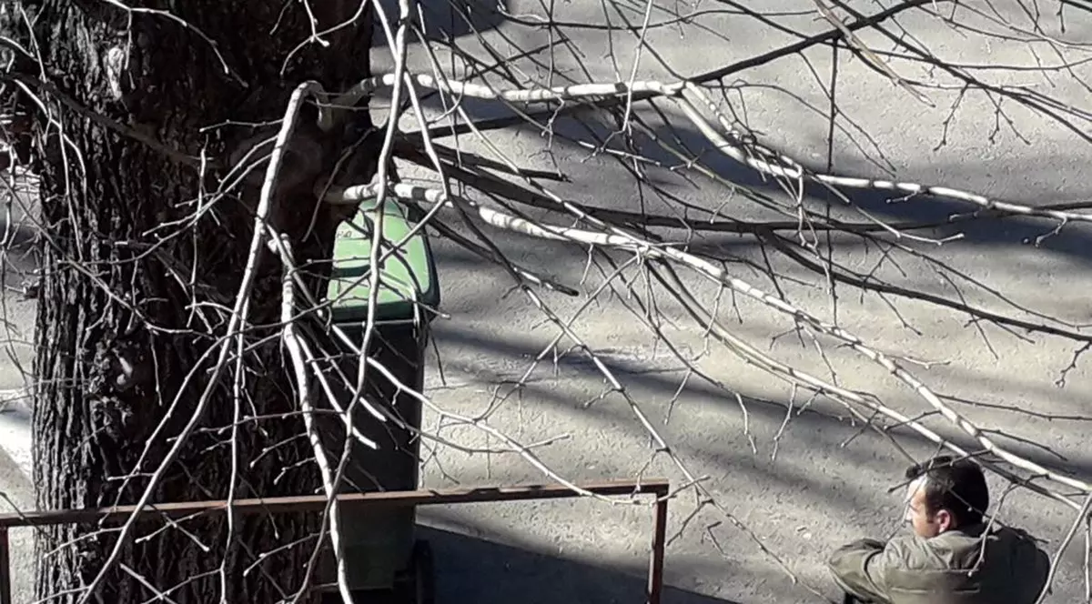 Piromanul din București a fost surprins când incendia o mașină. A fost, de altfel, proba care l-a înfundat definitiv/piromanul stă pe un trotuar