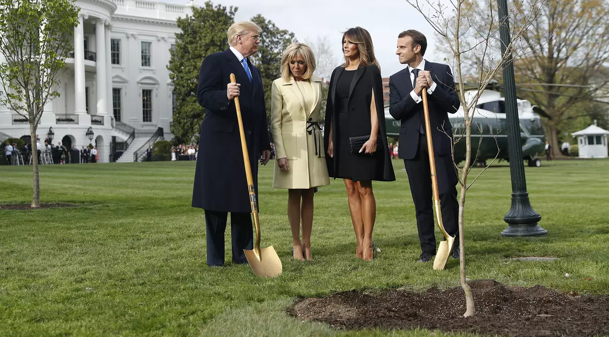 A dispărut copacul plantat de Trump și Macron