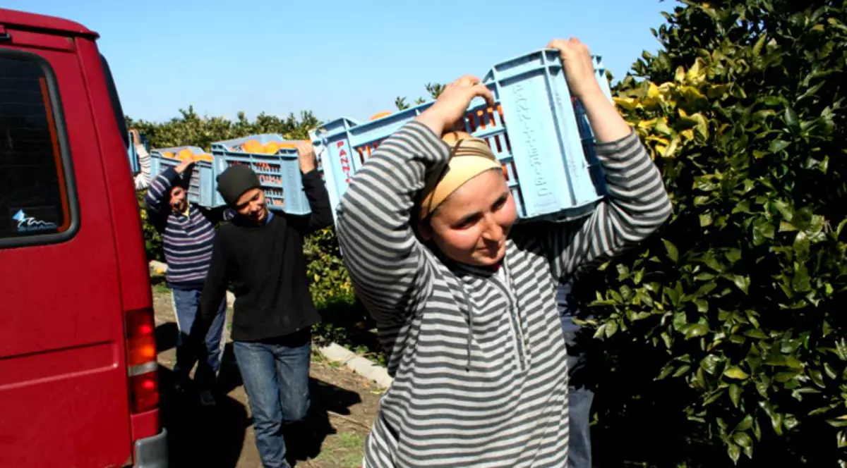 femei, munca in livada