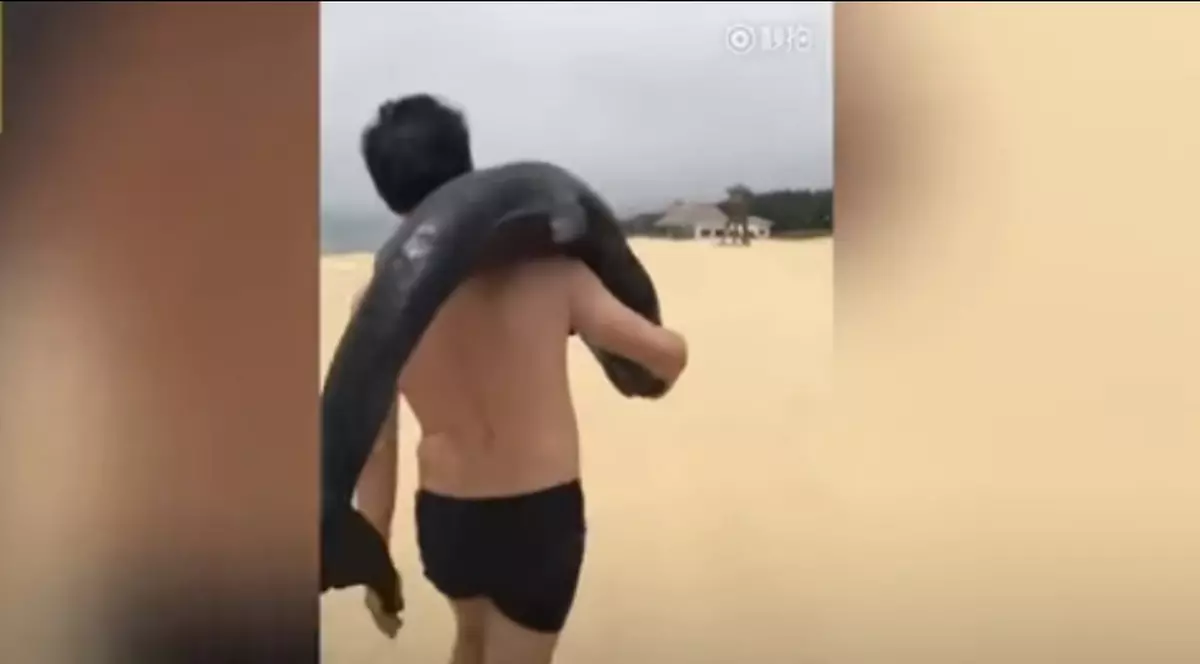 A furat un delfin de pe o plajă din China