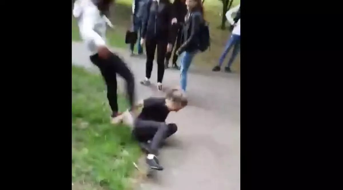 Elevă lovită cu pumnii și picioarele de o alta, într-un parc din Timișoara