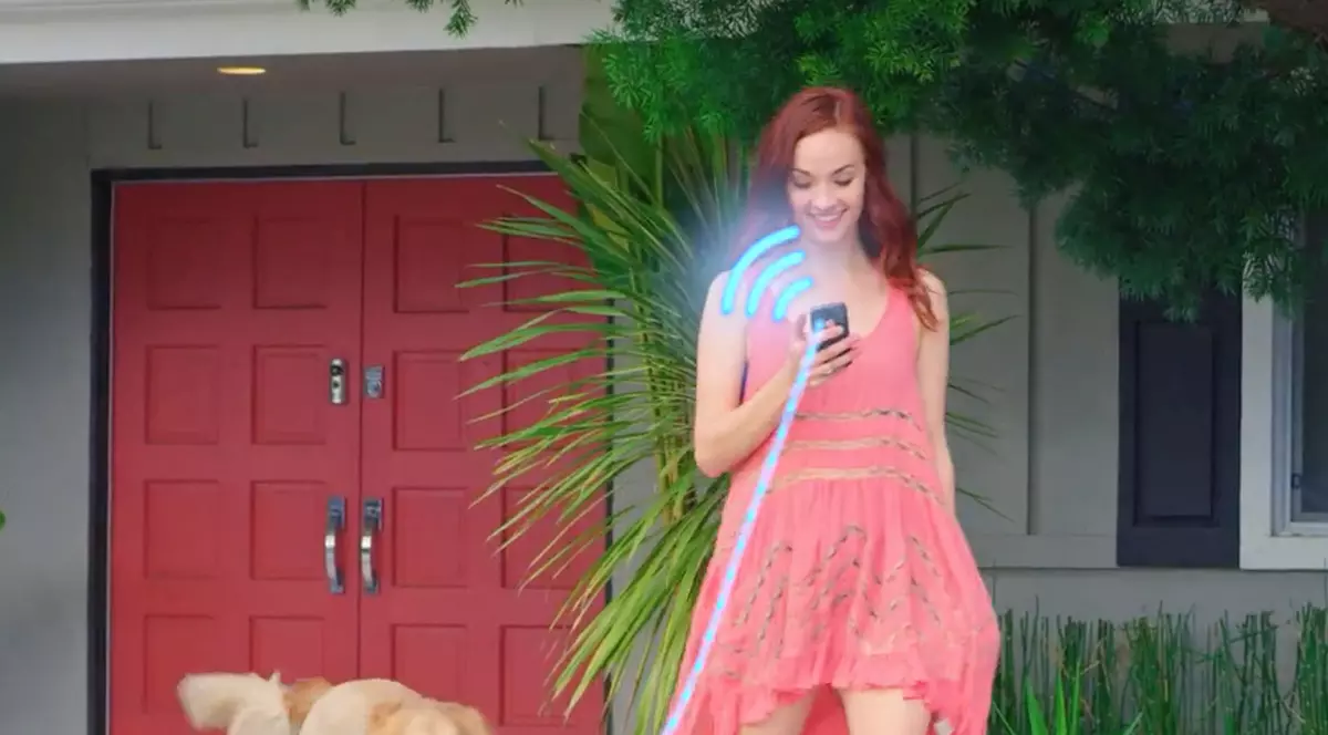 GPS-urile pentru câini, pericol pentru stăpâni. Hackerii pot fura câinii, dacă sunt de rasă, sau pot intercepta datele proprietarilor și compromite comunicatiile personale. Domnisoara in roșu cu un câine la plimbare, având având un smartphone în mână, conectat la zgarda câinelui