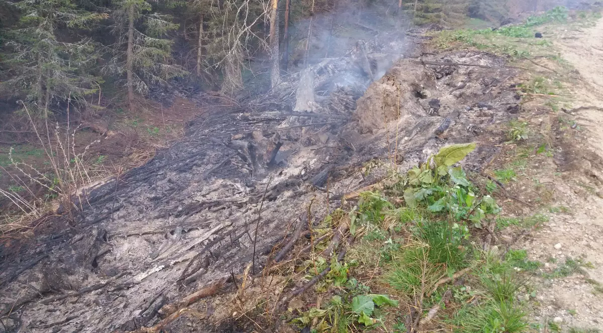 Incendiul din Munţii Ciucaş a fost lichidat. Echipajele se vor retrage în cursul acestei zile