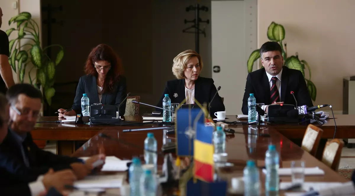 UPDATE. Carmen Dan, audiată în Comisia de apărare din Senat: ”Politica penală a ultimilor ani a fost aceea de a se sancționa cu oarecare blândețe violența”