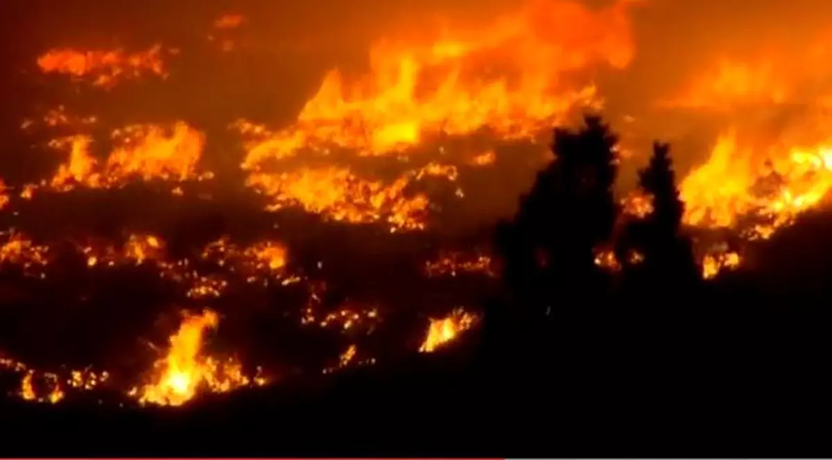 Un adolescent de 15 ani a fost amendat cu 37 de milioane de dolari. Incendiu de vegetație
