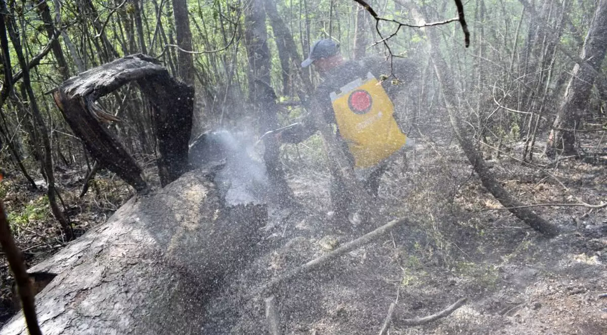 Pompierii inca se lupta cu incendiul din Parcul National Domogled – Valea Cernei, in ziua a cincea