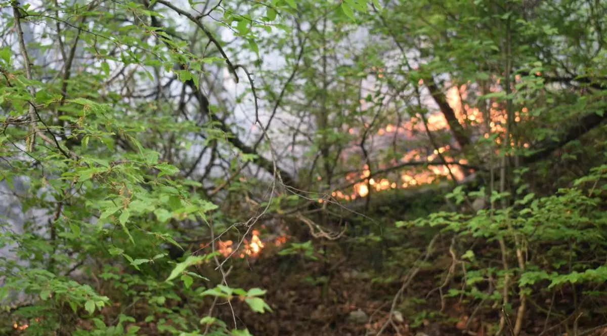 Incendiu în Munții Ciucaș, la granița dintre județele Brașov și Prahova