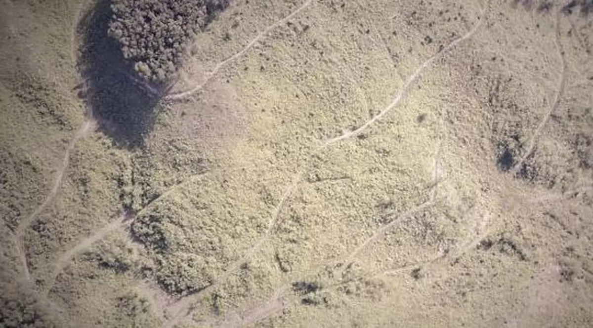 Activist de la Agent Green, amenințat cu bătaia în Parcul Național Semenic