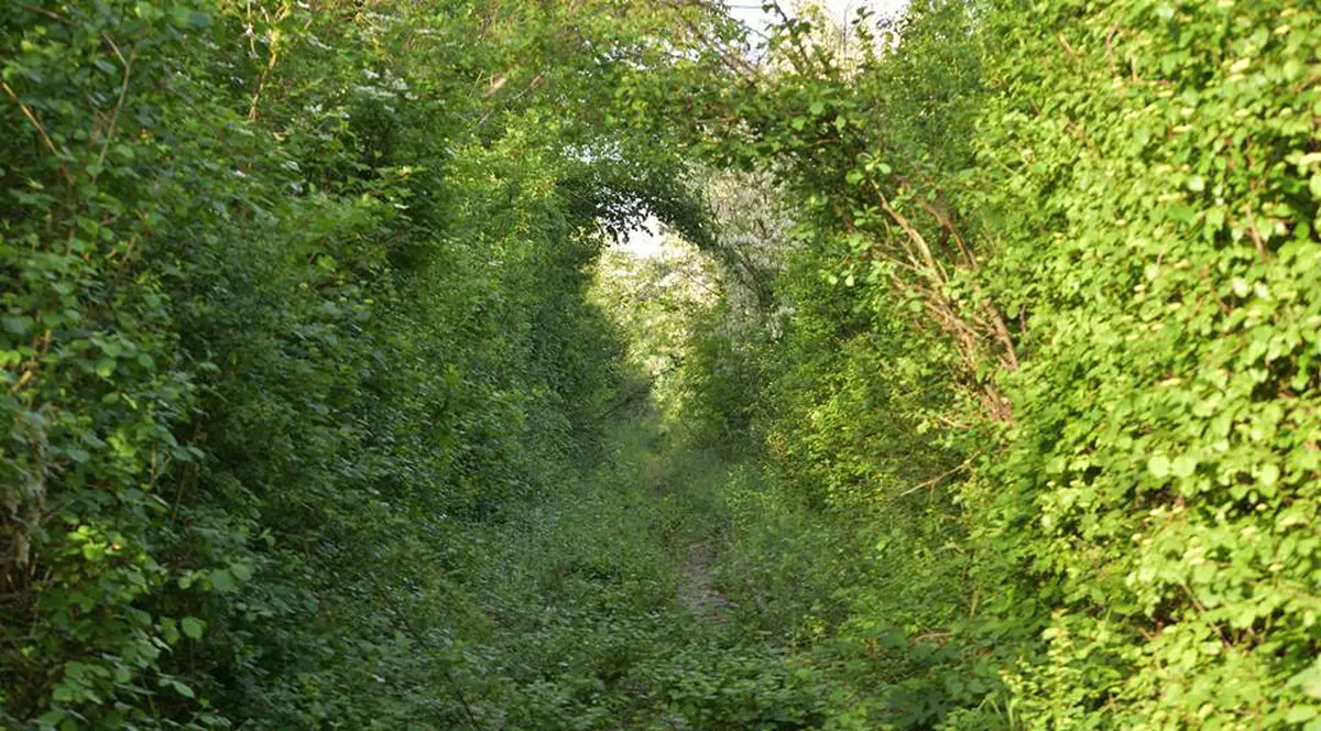 Tunelul iubirii din Caraș-Severin s-a dărâmat
