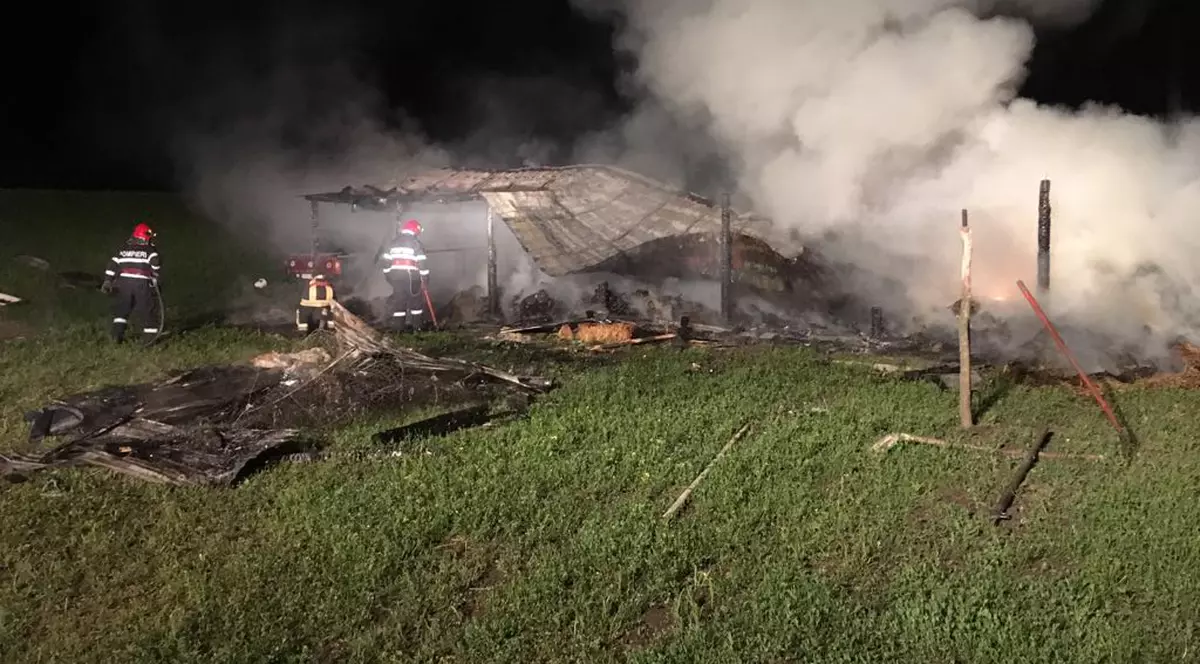 Zeci de capre au murit pârjolite într-un incendiu puternic în Vaslui