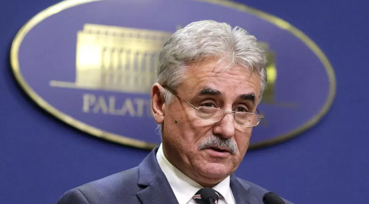 Viorel Ștefan, vicepremier