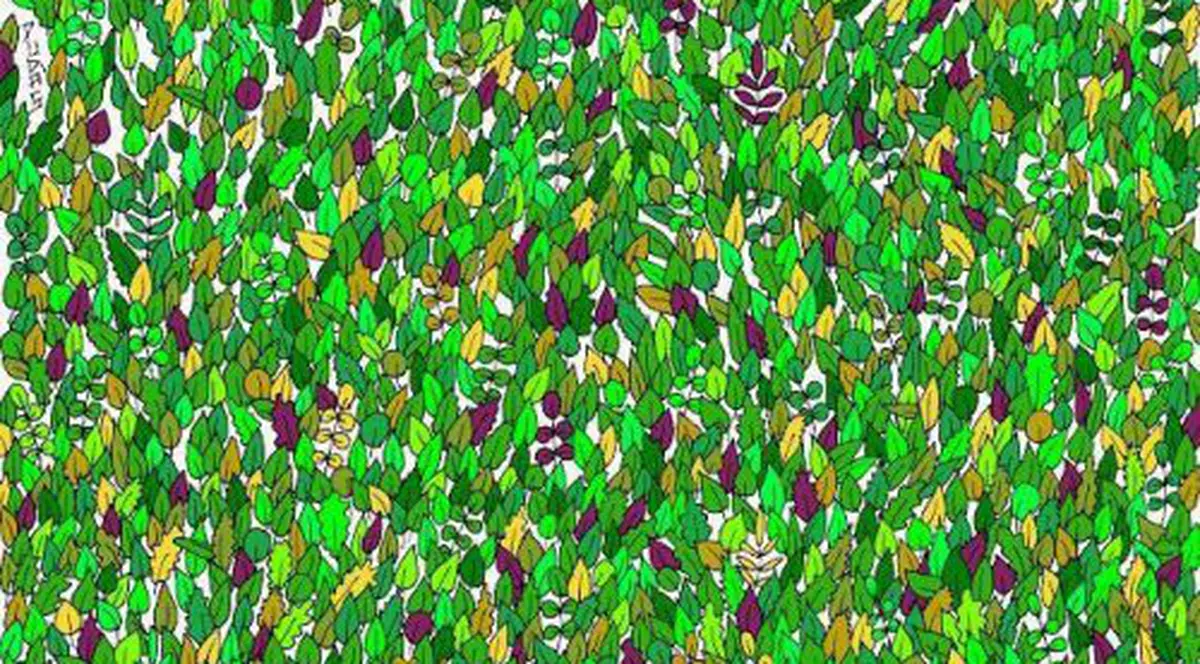 FOTO VIRAL | Tu poți să găsești broasca din fotografie? Este mai dificil decât ai crede